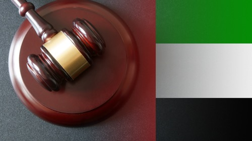 مهارات المرافعة